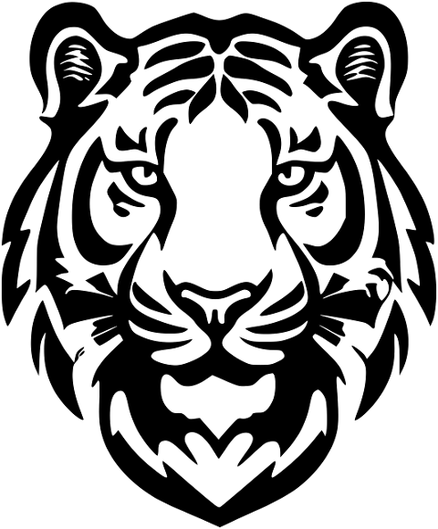 tiger-feline-stripes-animal-8755359