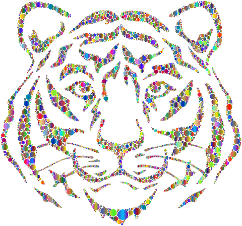 tiger-animal-predator-feline-7038186