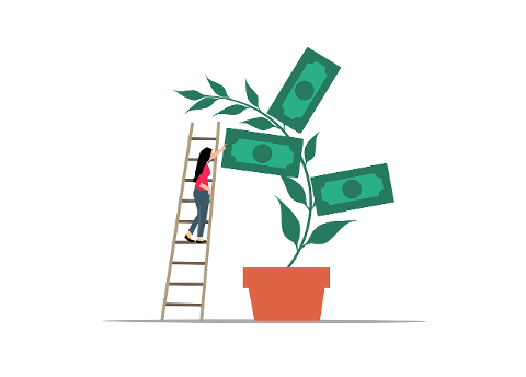 money-plant-investment-cash-tree-8953922