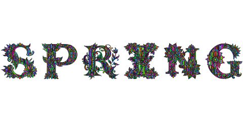 spring-seasons-typography-flowers-9853824