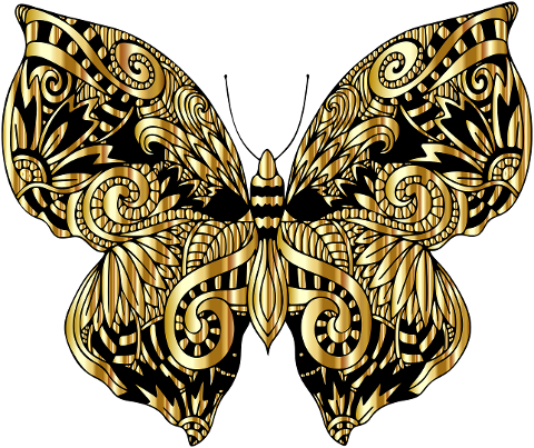 butterfly-gold-zentangle-insect-6810598