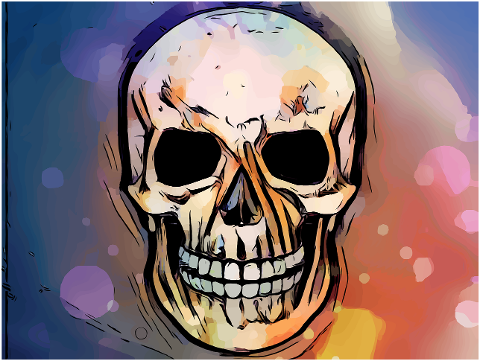 skeleton-skull-bones-colorful-face-6639547