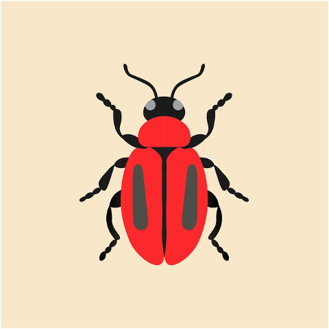 beetle-insect-bug-drawing-spring-8722905