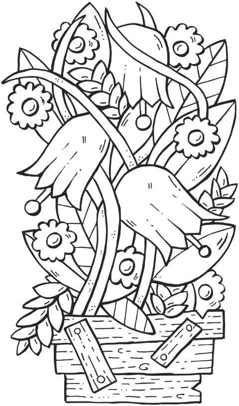 flowers-bouquet-nature-bloom-9734465