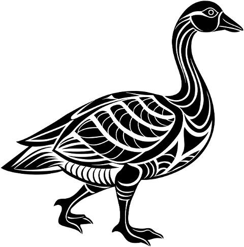 goose-bird-animal-ornithology-8799275