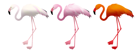 flamingos-birds-animals-water-birds-6144110