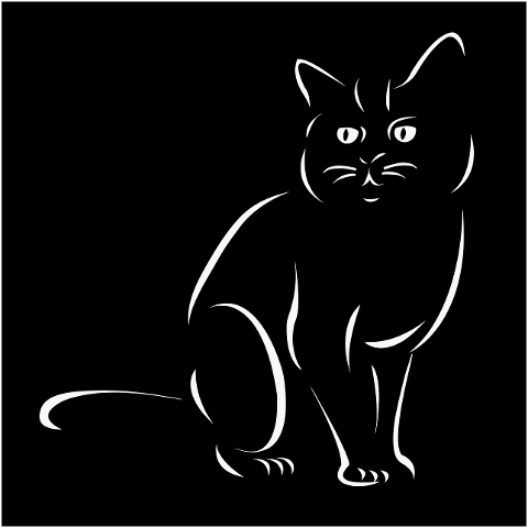 cat-animal-feline-domestic-cat-7832036