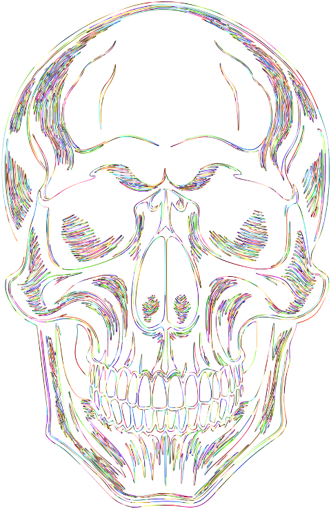 skull-head-skeleton-bones-8351248