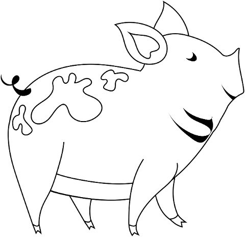 pig-animal-mammal-farm-animal-6387851