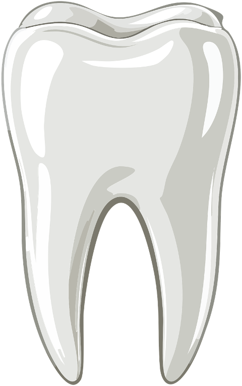 tooth-dental-dentist-human-care-10005310