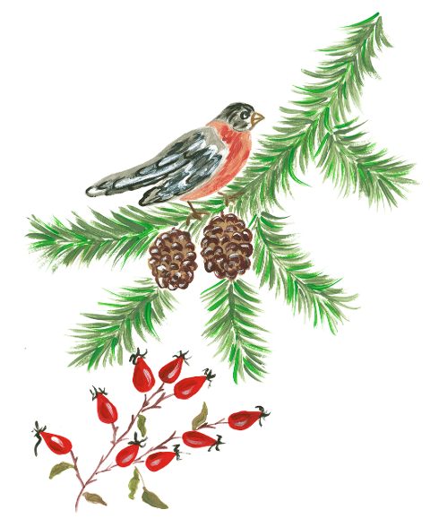 bird-watercolor-christmas-winter-6856726