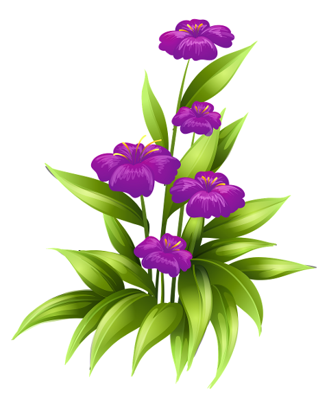 flowers-leaves-plant-purple-flowers-5959664