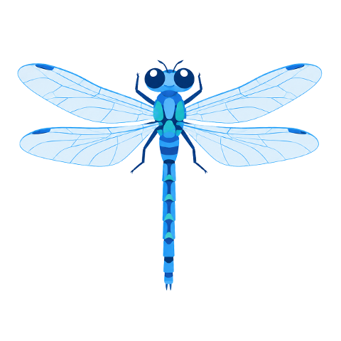 dragonfly-blue-dragonfly-insect-10365415