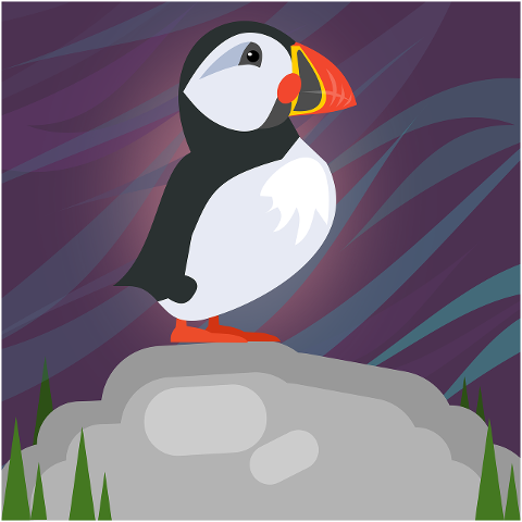 bird-puffin-ornithology-species-6874352