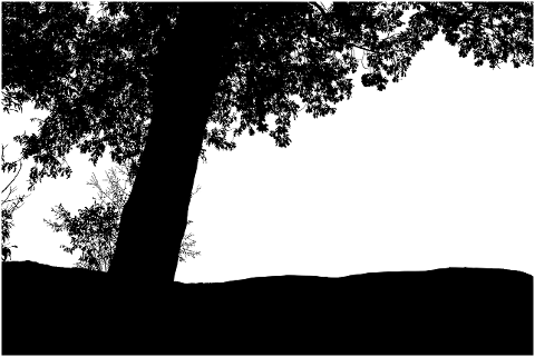 tree-silhouette-branches-landscape-6810502