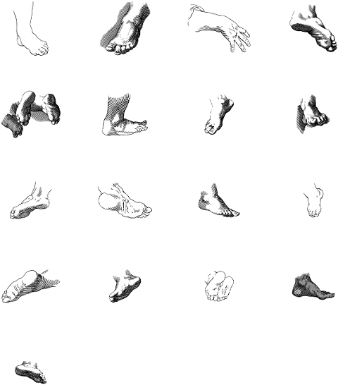 feet-foot-line-art-human-anatomy-7272793