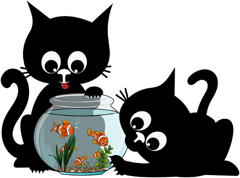 cats-kittens-black-cats-felines-8898052