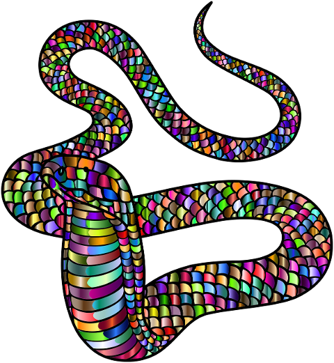 king-cobra-snake-animal-reptile-6884215
