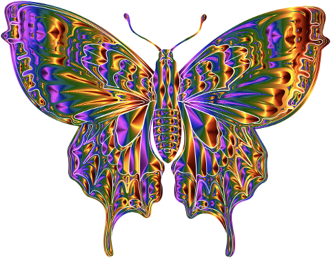 insect-butterfly-art-design-cutout-6911234