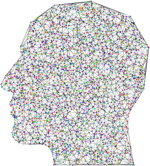 brain-mind-head-psychology-9842073