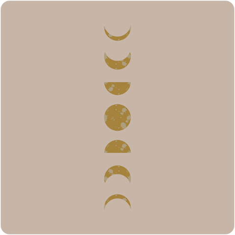 moon-moonlight-night-nature-9992474