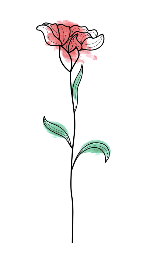 flower-drawing-line-art-watercolor-7424203