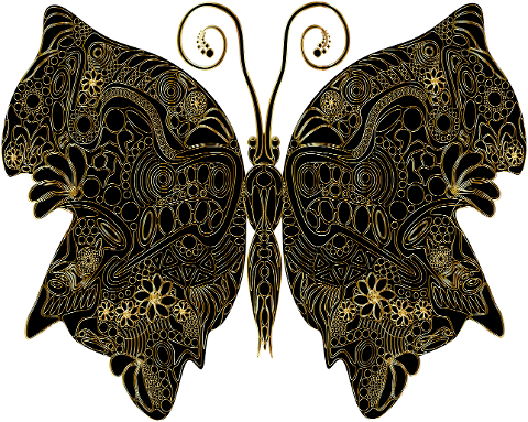 butterfly-insect-design-decoration-8534860