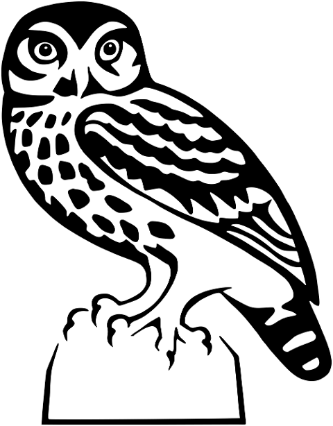 bird-ornithology-owl-line-art-7931229