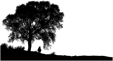 tree-landscape-silhouette-plant-5319093