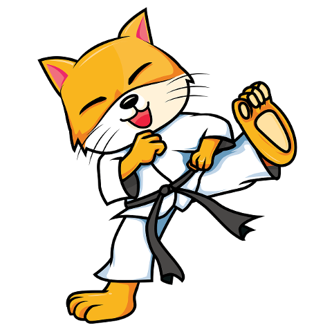 karate-cat-cartoon-funny-4575114