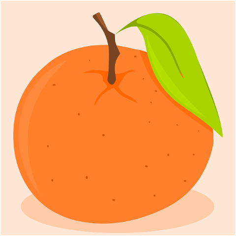 mandarin-orange-fruit-clip-art-7150362