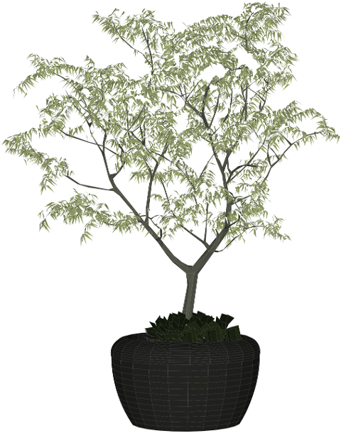 plant-leaves-plant-pot-shrub-6364500