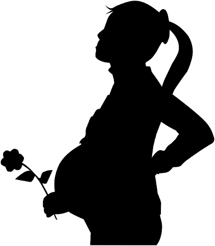 pregnant-flower-silhouette-woman-4274009