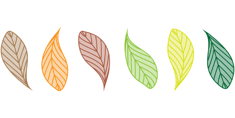 leaves-foliage-clip-art-nature-7307367