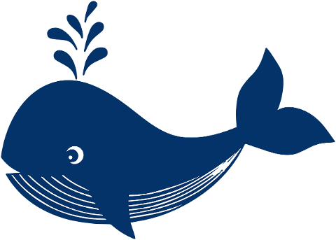 whale-ocean-sea-animal-mammal-6552195