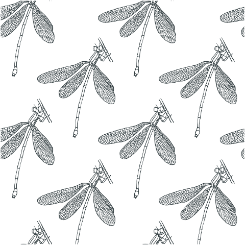 dragonfly-insect-pattern-seamless-4354522