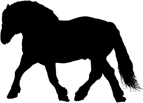 horse-animal-silhouette-draft-5208109