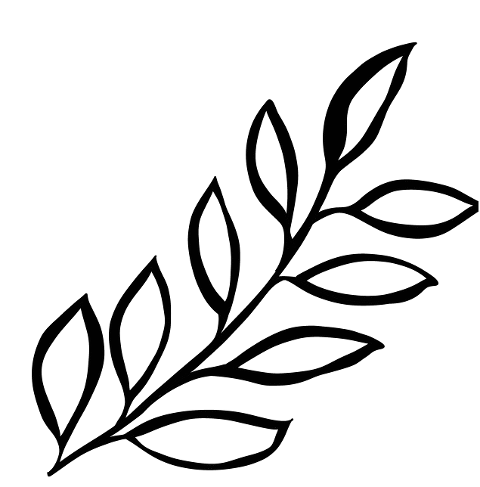 leaves-branch-line-art-drawing-8415582