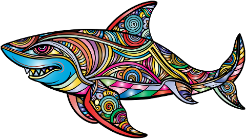 shark-animal-predator-aquatic-8853351