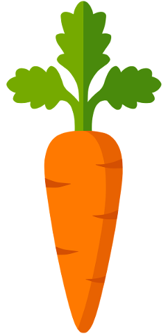 carrot-vegetable-orange-plant-4984620