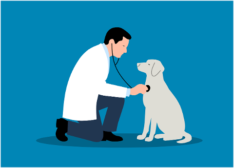 veterinarian-vet-dog-animal-pet-9654835