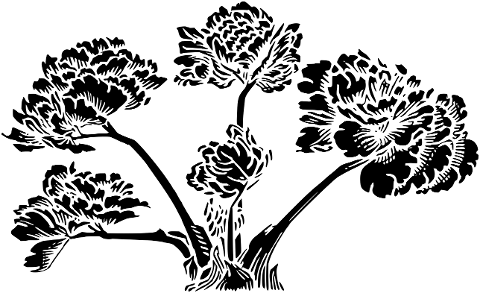 flower-floral-plant-line-art-7492259