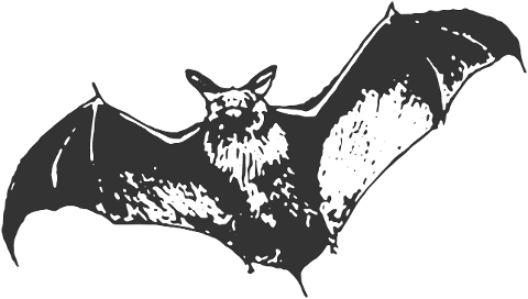 danger-mice-bat-halloween-scary-7324379
