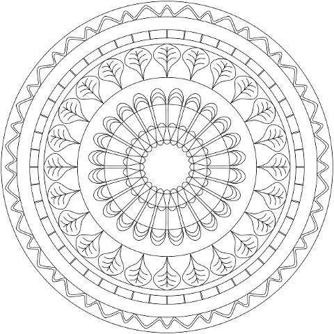 floral-pattern-art-cutout-drawing-7016847