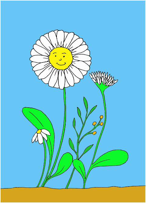 daisies-flowers-smiley-cartoon-7707796