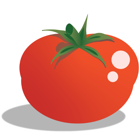 tomato-ripe-fresh-tomatoes-4437130