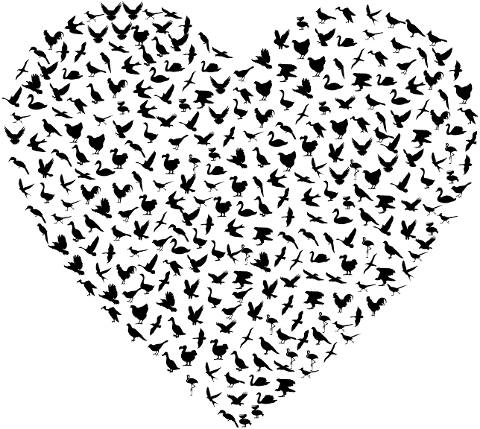 birds-heart-love-silhouette-4560311