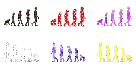 human-evolution-4849641