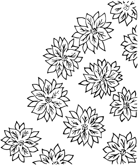 christmas-poinsettia-drawing-6822004