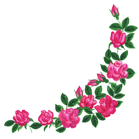 rose-ruzicka-garden-florets-flower-6286087